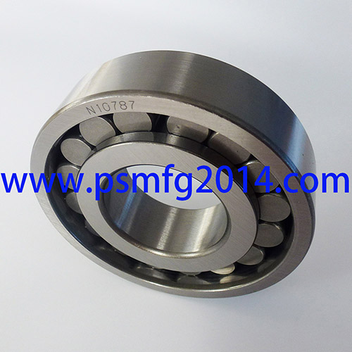 N10787 Gearbox Cylindrical Roller Bearings