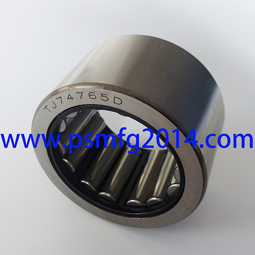 TJ74765D Gear Pump Bearing