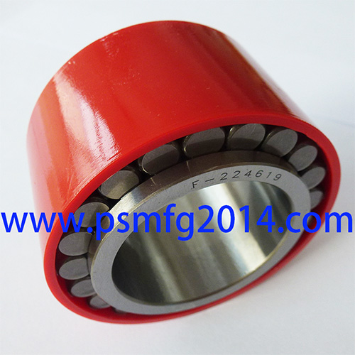 F-224619 Gearbox Bearings
