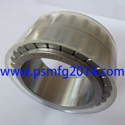 F-213616 Planetary Gear Reducer Bearings