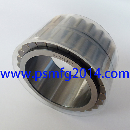 F-213617 Hydraulic Pump Roller Bearings