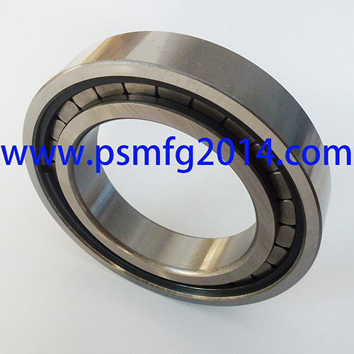 CBK238 MF Tractor Transmission Bearings