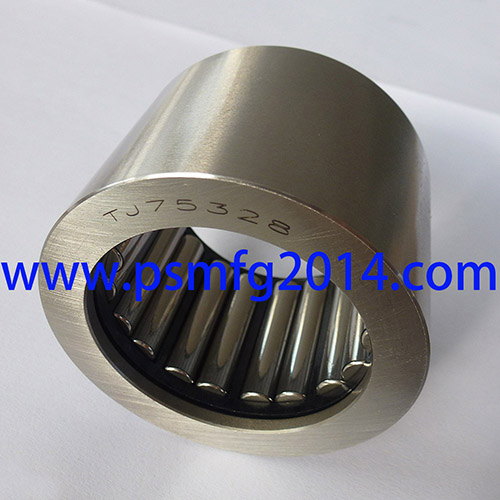 TJ75328 Gear Pump Needle Bearing